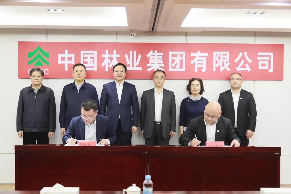 ���Ի������������������ί̸������г��ϵ�־ֳ�������(ͼ2)