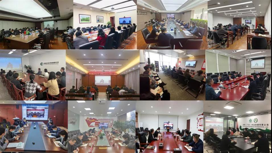 ÖÐÁÖ¼¯ÍÅÕÙ¿ªµ³Ê·Ñ§Ï°½ÌÓý×ܽá¾Û»á(ͼ3) ÖÐÁÖ¼¯ÍÅÕÙ¿ªµ³Ê·Ñ§Ï°½ÌÓý×ܽá¾Û»á(ͼ3)